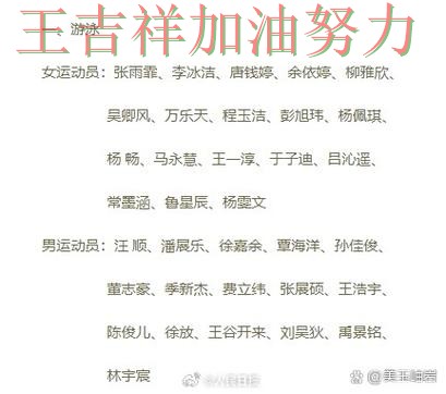 中国游泳队连续不败纪录继续扩大 主帅用人思路受到讨论