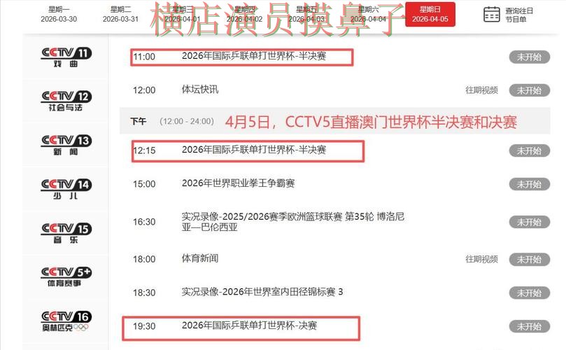 世界杯直播背景下的世界杯投注平台解析与真实体验